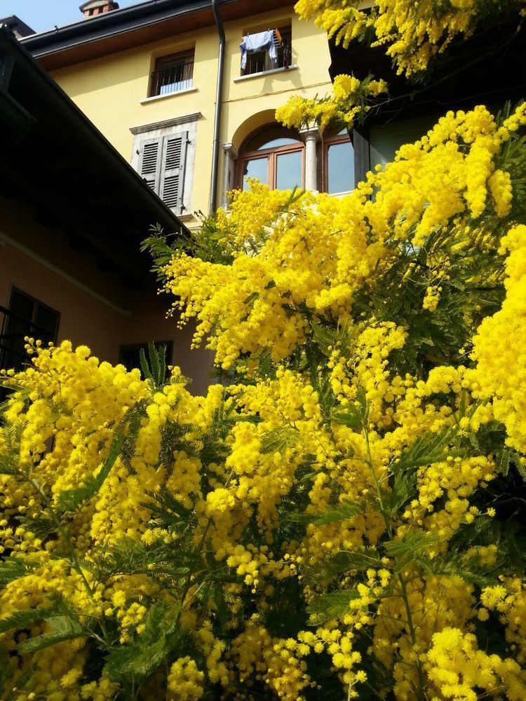 Omas Haus Villa Toscolano Maderno Eksteriør bilde